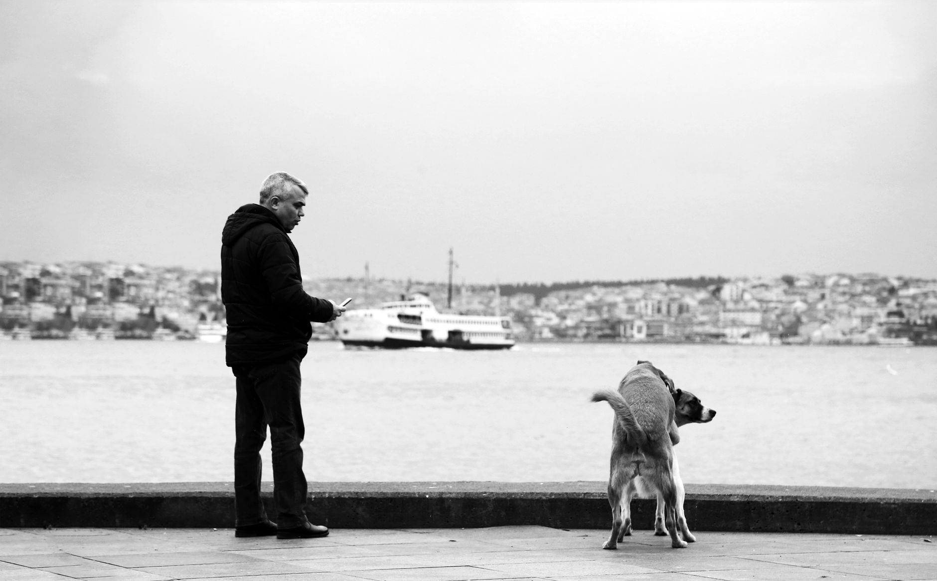 Bir adam ve köpeği birlikte