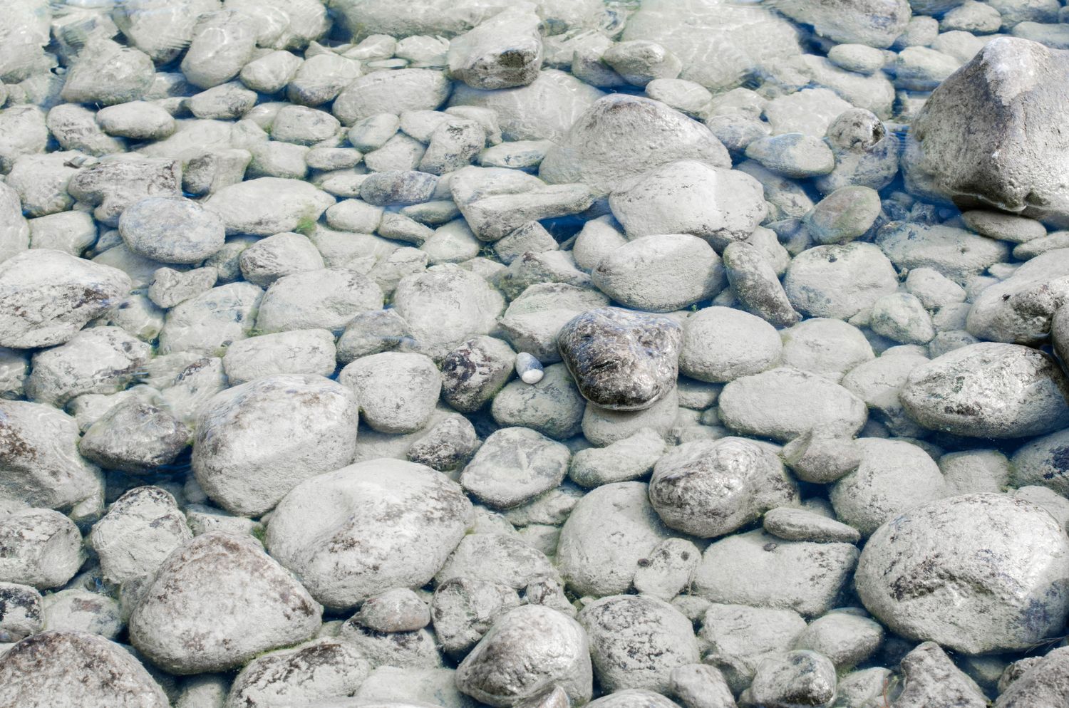 Pebble Pool Photos, Download The BEST Free Pebble Pool Stock Photos ...