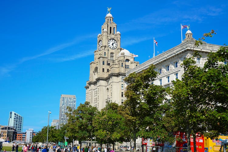 Liver Building