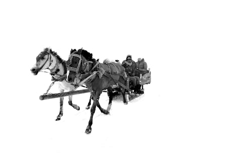 Free People in Horses Carriage in Winter Stock Photo