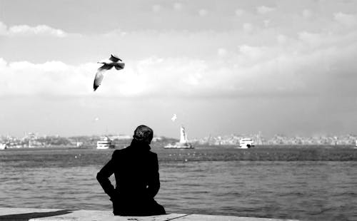 Seagull Flying over Woman in Istanbul
