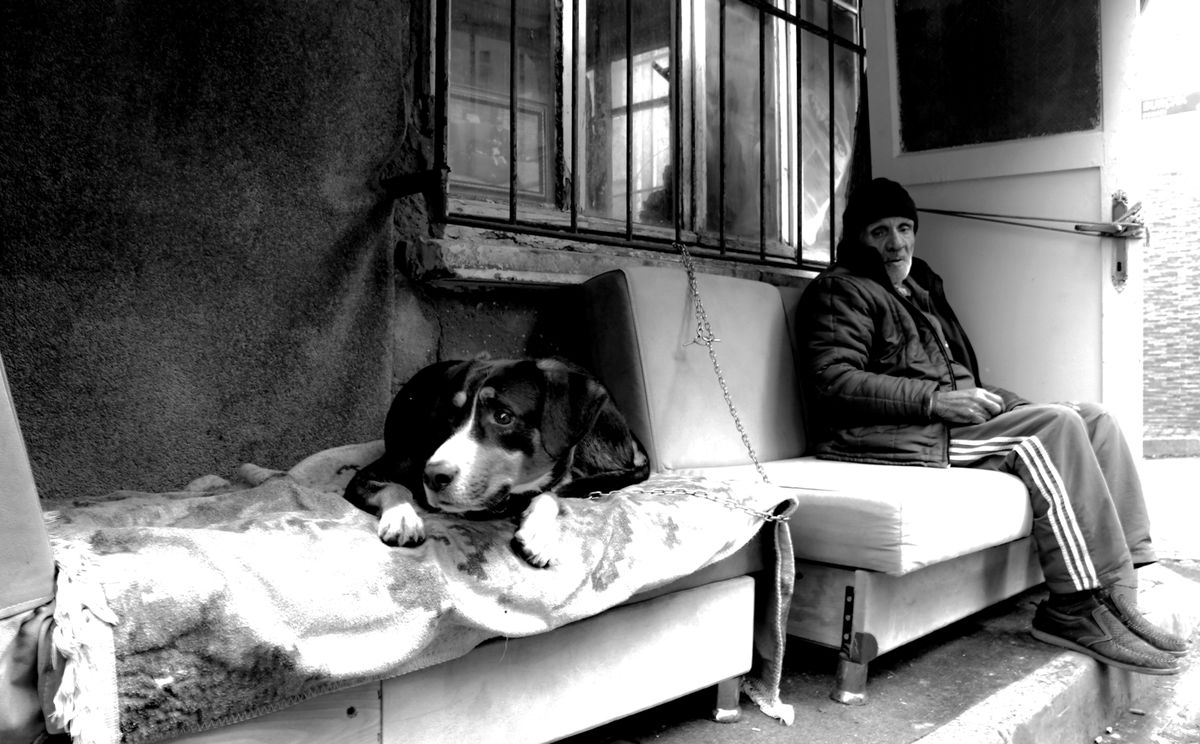 home removals in Ilkeston — Loaded properly: blankets, straps and a plan in Ilkeston