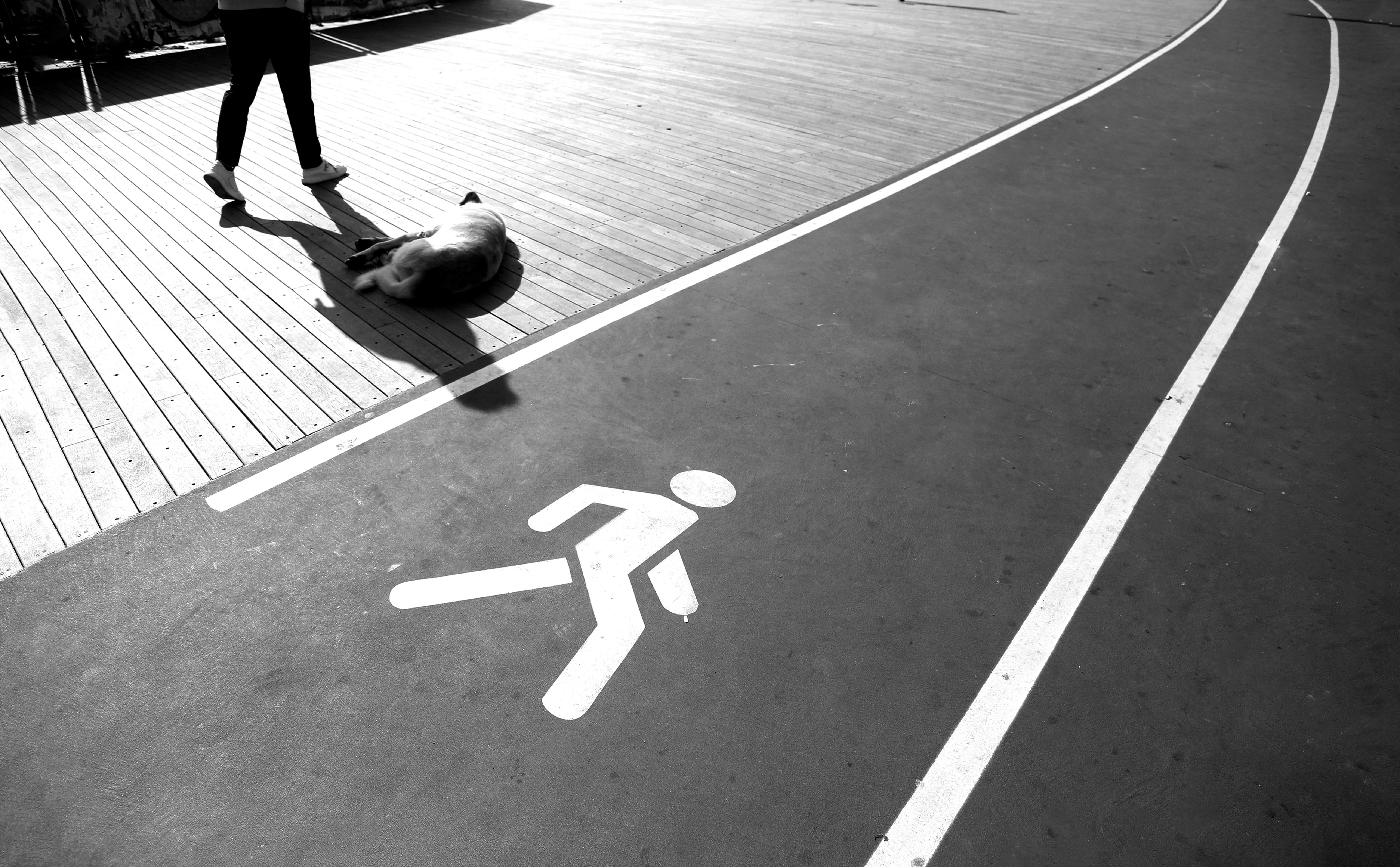 6 Creative Street Photography Ideas You Can Do With Your Phone — Photo by The Humantra on Pexels