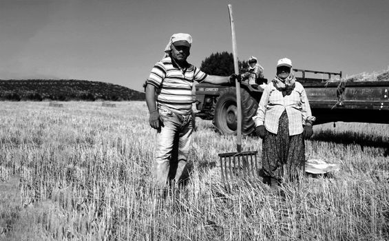A black and white photograph of farmers standing in a field with a tractor, showcasing rural life.