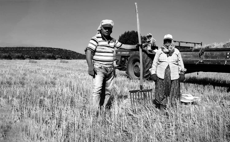 People Working On A Farm 