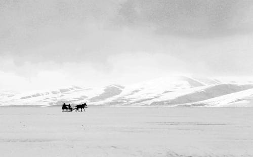 People with Horse and Sleigh in Snow