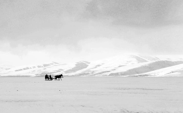 People With Horse And Sleigh In Snow