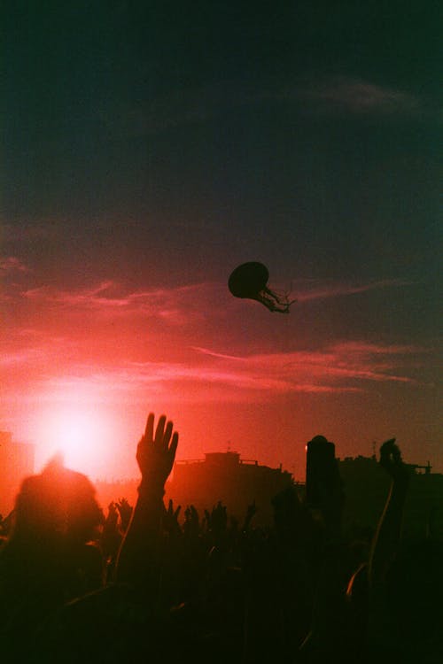 People at a Festival with Hands in the Air at Sunset 