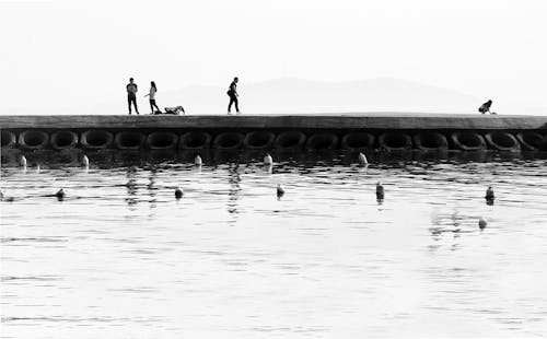 People Walking on Pier near Water