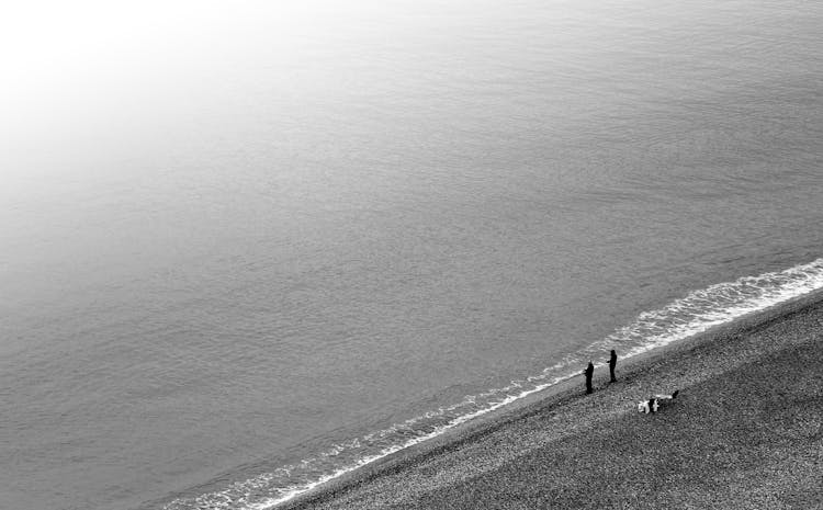 Aerial View Of People Standing On The Beach 