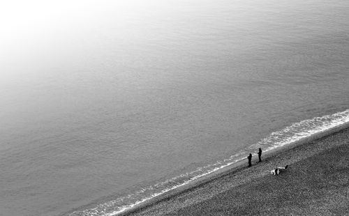 Free Peaceful black and white shot of people walking along a quiet beach shore. Stock Photo