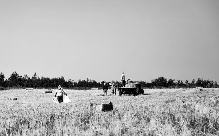 Grayscale Photo Of People Working On The Farm