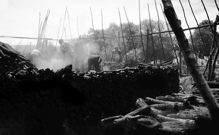 Men Working With Tree Logs Outdoors