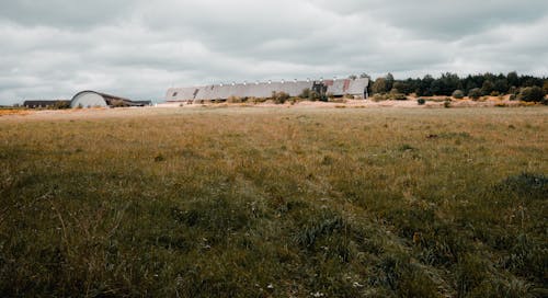 Field of Grass and Farmhouses on a Horizon