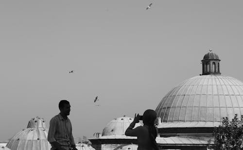 Seagulls Flying over Buildings Domes