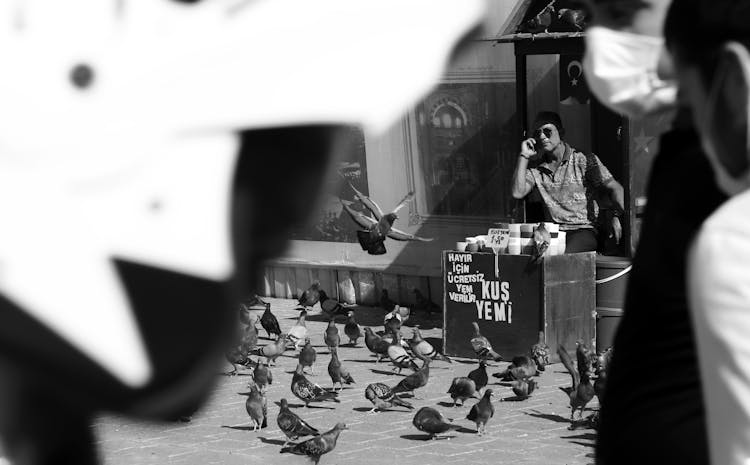 A Street Vendor Surrounded With Pigeons