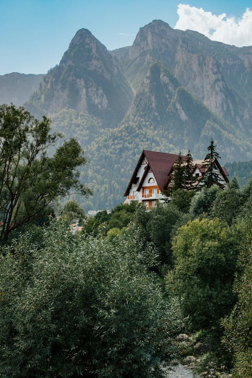 Foto profissional grátis de árvores verdes, design arquitetônico, floresta