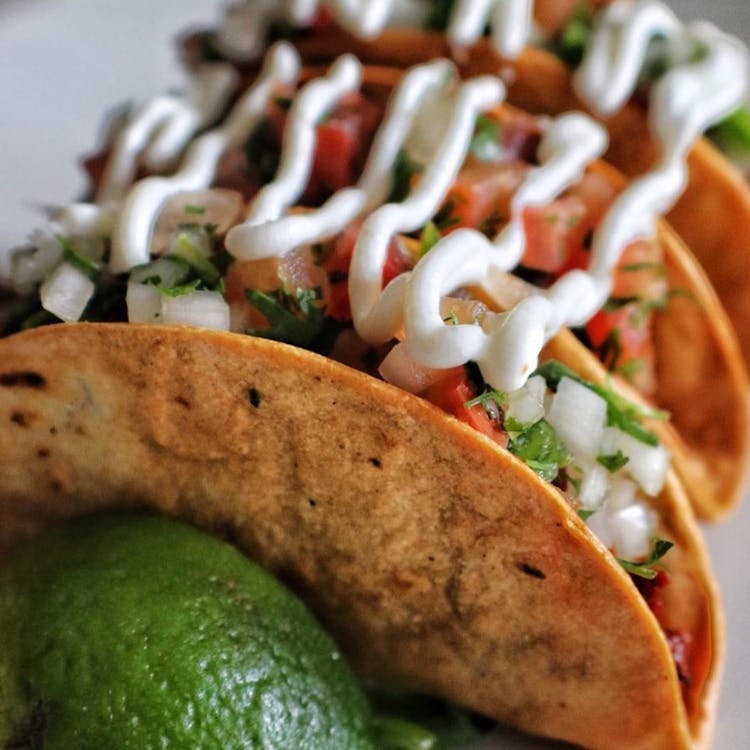 Free stock photo of dining, food, tacos Stock Photo