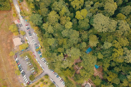 Aerial Photo of Cars Parked Near Forest