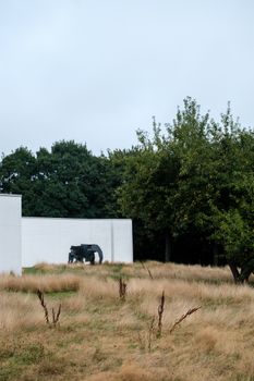 A modern art sculpture placed outdoors by a white wall near a forest edge.