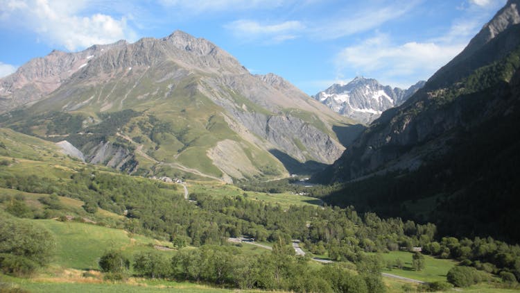 Green Trees In The Mountain Valley