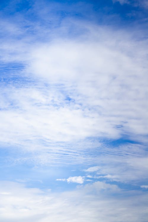 Gratis arkivbilde med blå himmel, hvite-skyer, vertikal skudd