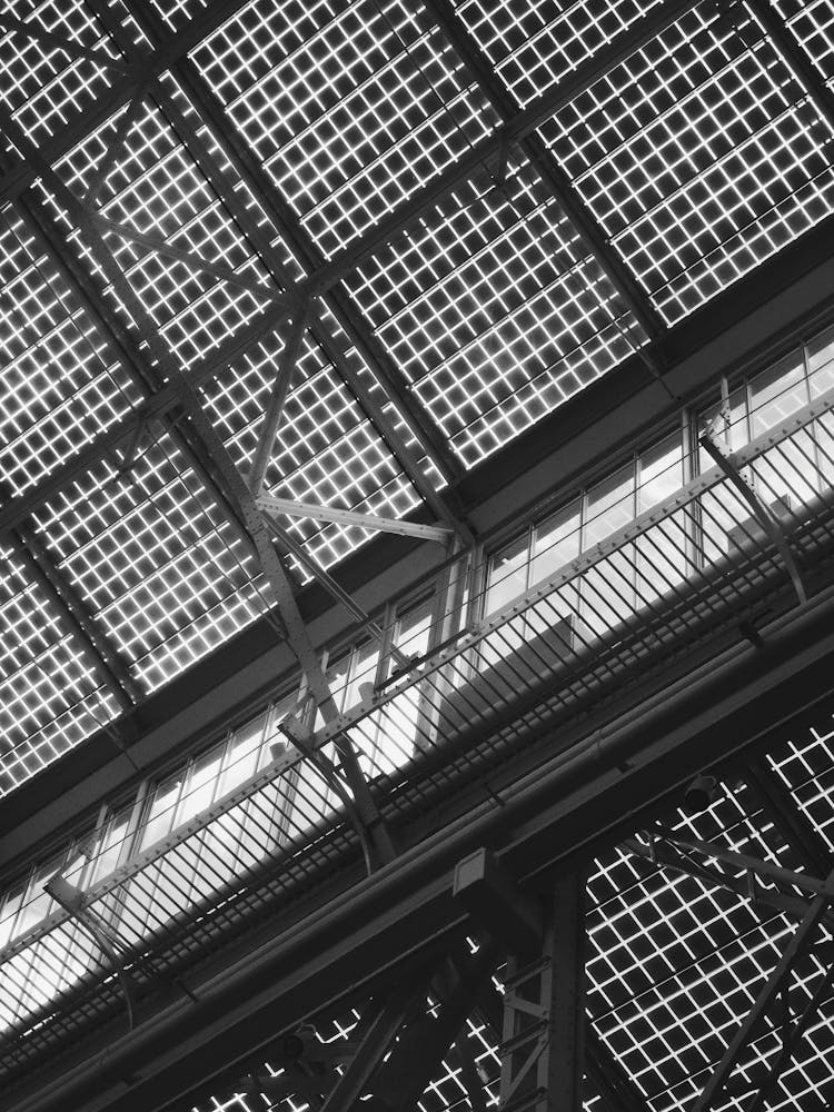 Glass Wall Under Futuristic Roof