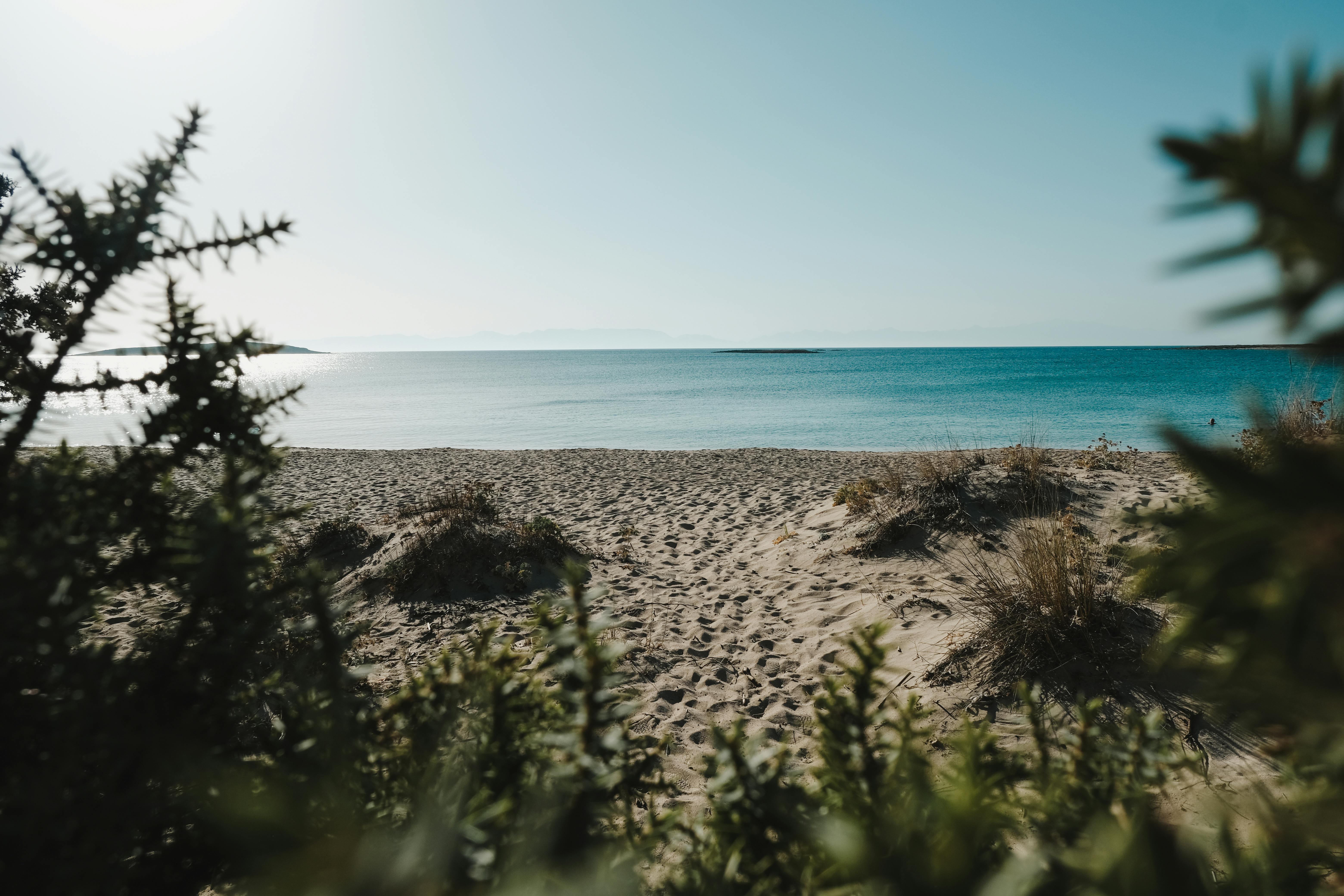 peaceful beach shore under blue sky