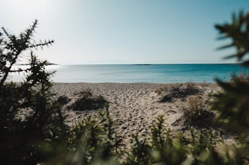 Peaceful Beach Shore Under Blue Sky