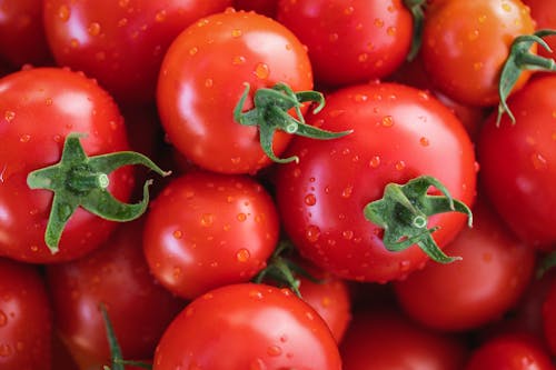 Red Cherry Tomato Fruit in Close Up Photography