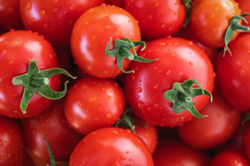 Free Close-up image of fresh red cherry tomatoes with water droplets, highlighting their freshness and vibrant color. Stock Photo