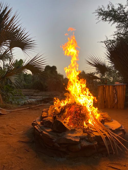 Free stock photo of beautiful nature, camp fire, fire