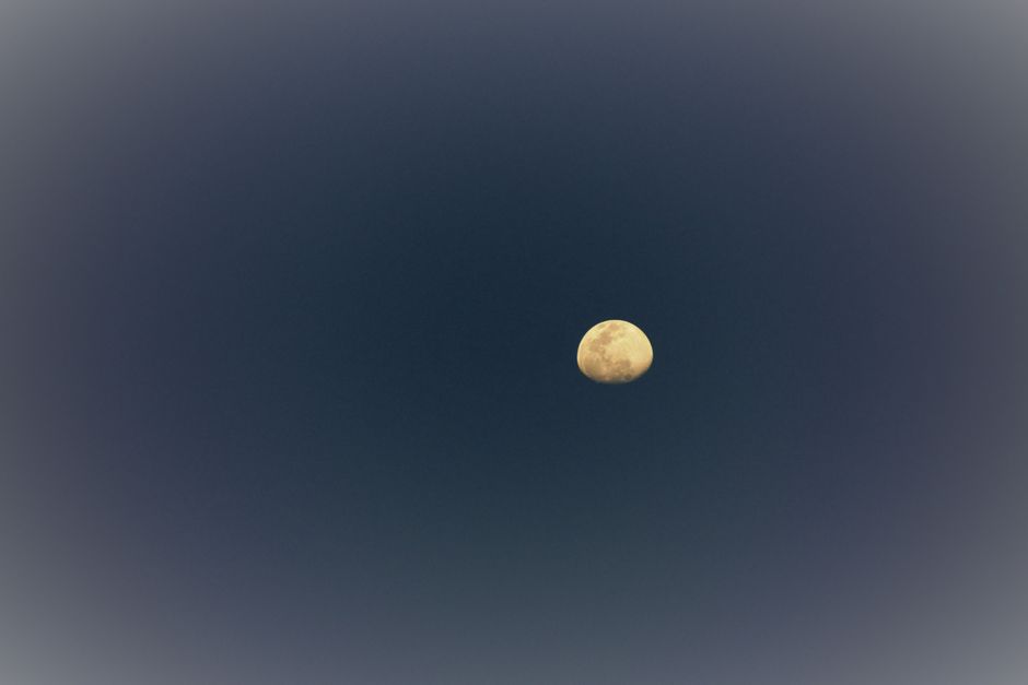 Fotomural Un cielo nocturno despejado que muestra una luna gibosa creciente con cráteres detallados.
