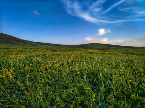 Tabriz, Iran photo 20