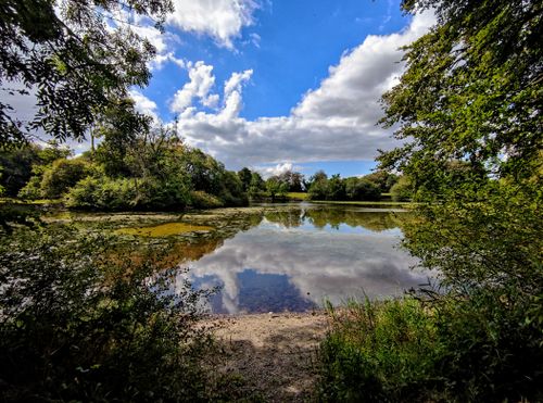 Free Tranquil lake scene in Ireland with clear reflections of trees and sky. Stock Photo