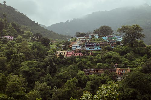 An Aerial Photography of Houses Surrounded with Green Trees