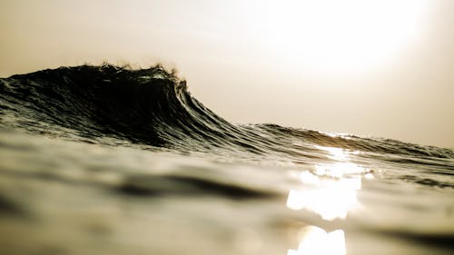 海の波のセピア写真