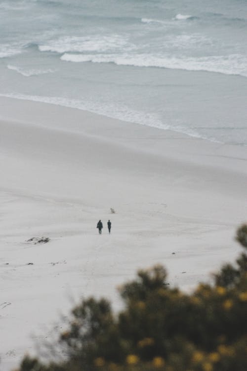 People Walking on White Sand near Beach