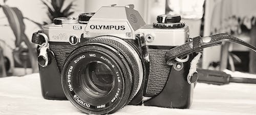 bw摄影, Olympus, 反射 的 免费素材图片