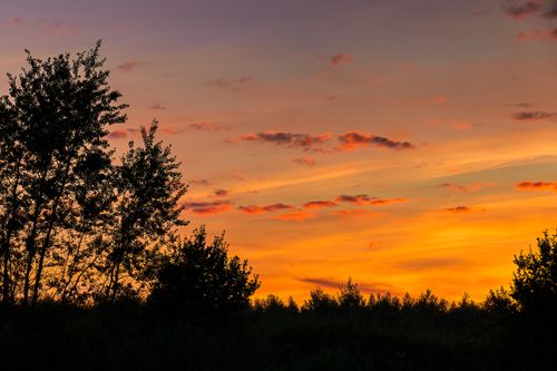 Free A captivating sunset with silhouettes of trees against an orange and purple sky. Stock Photo