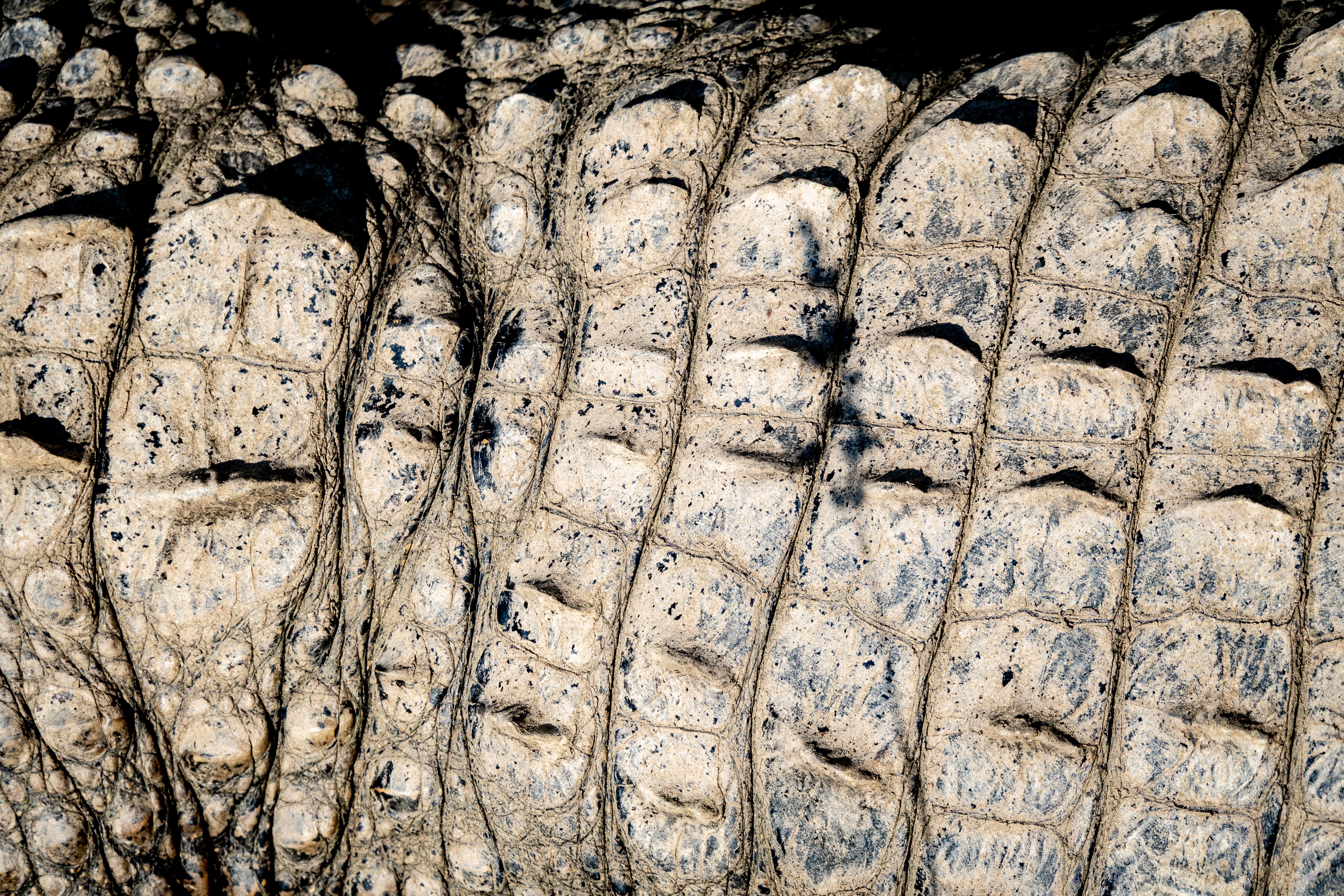 Rough Texture of Ground · Free Stock Photo