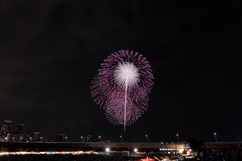 Free Purple and White Fireworks Display during Night Time Stock Photo