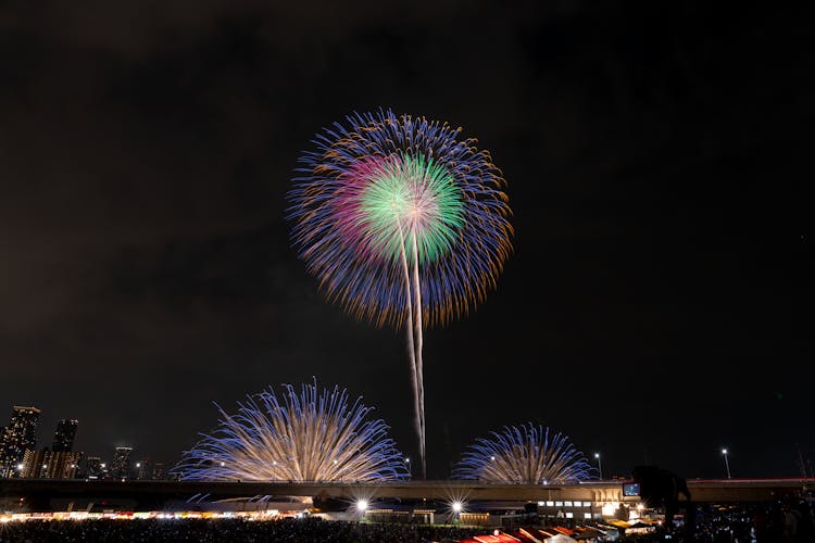 Fireworks In The Night Sky 