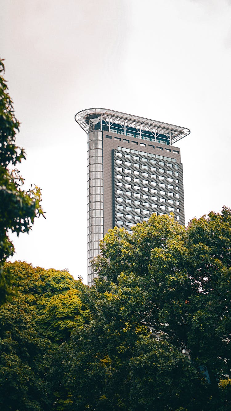 A Building Near The Trees