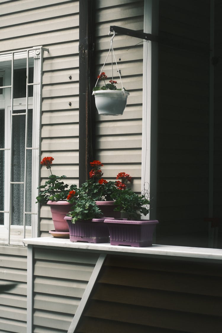 Potted Plants On The Porch