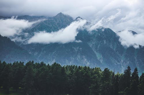 A Green Trees Near the Mountain Under the White Clouds