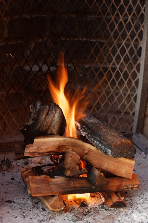 Free stock photo of braai, burning, fire