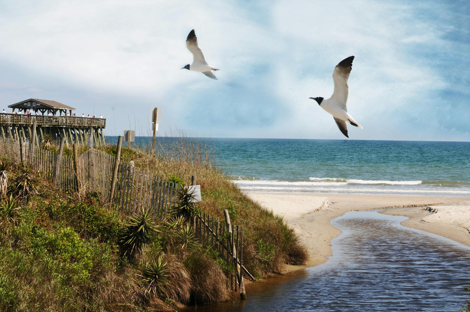 A peaceful view of Virginia Beach showcasing a wooden pier, seagulls, and the ocean.