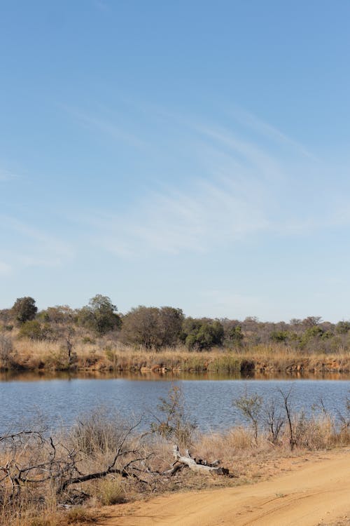 Free stock photo of blue, bushveld, dam