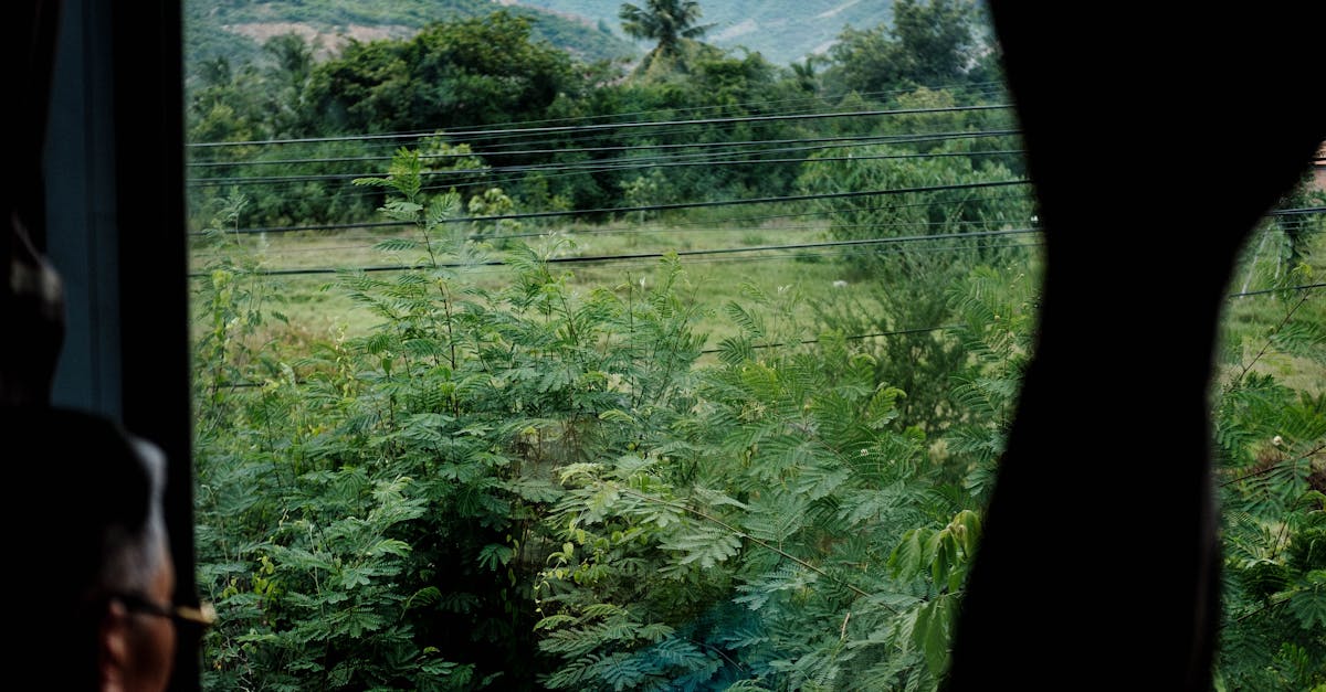 Eco-Friendly Travel Tips for UK Trips